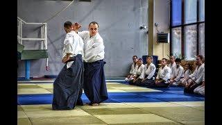 Mikhail Safronov 5 dan aikido Saint Petersburg 2017