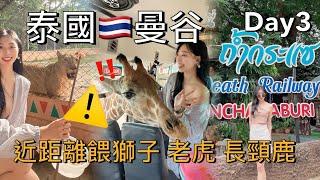 【旅遊Vlog】泰國曼谷 第三天 竟然快跑去緬甸了‼️為了 獅子老虎長頸鹿還有當地超級便宜的夜市 不能錯過【我是邵邵Kristy】