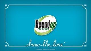 How to Use Roundup® For Southern Lawns Products Properly to Kill Weeds in Your Lawn