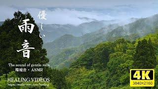[Environmental sounds/ASMR] Gentle rain sounds and natural scenery/Relaxing/Studying or working.