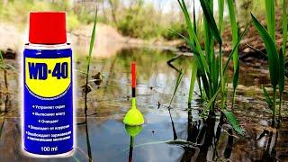 Бешеный клев КРУПНОГО КАРАСЯ на WD-40. Рыбалка поплавок весна 2025