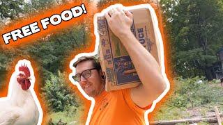 Getting FREE FOOD for our CHICKENS!