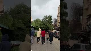 חי פה - חדשות חיפה: עץ קרס על מבנה ומכונית בחיפה (צילום: ורד פרן)
