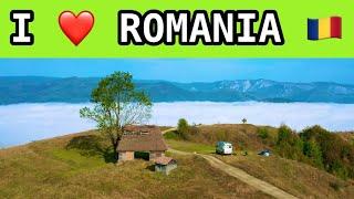 VANLIFE Ep.28: AMAZING workaway experience in Transylvania - Romania