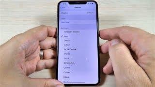 iPhone 11, 11 Pro & Max Ringtones (2019) IOS 13