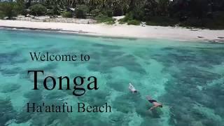Teukava Beach Oasis