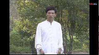 Chen taijiquan xiaojia video course by master Chen Ruihua