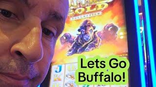 Buffalo Gold Collection slot machine. let's go Buffalo. #slots #casino #slotmachine