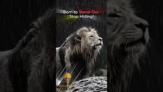 Stop Hiding — You Were Born to Stand Out