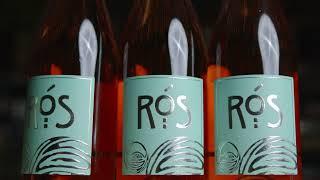 Discover Rós Rosé | O'Briens Wine