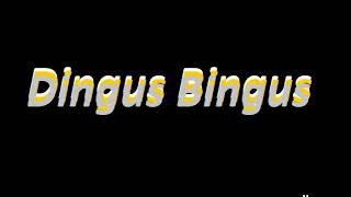 Xverzusz - Dingus Bingus