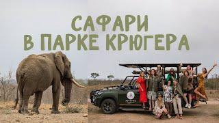 Kruger national park safari | Большой тур в ЮАР, часть 1 | vlog14