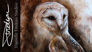 Latte - Barn Owl Painting - Acrylics & Oils - Time Lapse by Danielle Trudeau Studios
