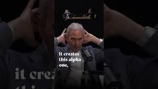 How Meditation Maintains The Health Of Your Brain | Bob Roth X Rich Roll