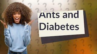 Does ants in urine mean diabetes?