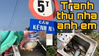 Câu Cá Rô Đồng.Không Ngờ Bầy Thác Lác Lại Trú Ngụ Ở Con Kênh Này/@ninhfishing