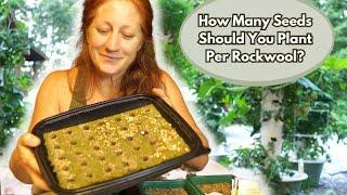 Hydroponic Seed Starting Success in Rockwool  | How Many Seeds to Plant in Your Tower Garden.