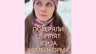 ПОТЕРЯЛИ ЦЫПЛЯТ ИЗ-ЗА КОМБИКОРМА! Кто ответит за это?