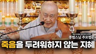 [#종범스님] 삶과 죽음, 집착을 놓으면 자유로워집니다 (도원당 만오선사 49재 종범스님 추모법문)