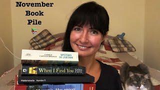 My November Book Pile