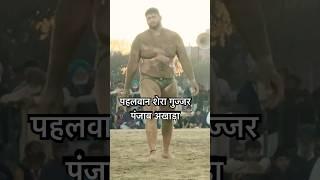 Shera gujjar pahlwan u.p baba flahi akhada punjab #wrestling #motivation #trending #dangal #pahlwan
