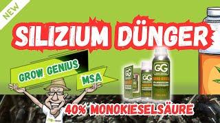 Grow Genius - Silizium Dünger / mono sillic | 40% Monokieselsäure (MSA)