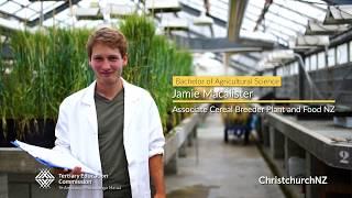 A career in plant and food research