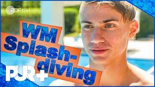 Dario und PUR+ bei der Splashdiving World Championship 2019 I ZDFtivi