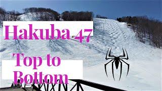 Hakuba 47 - Top to Bottom tips that you will want to know before you go.