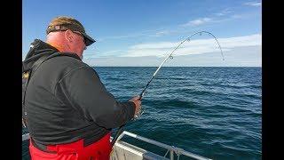 Norway Halibut 77lb on a Spinning Rod!