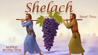 Torah Portion | Shelach - שְׁלַח | Send Thou