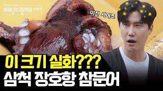 크기로 유명한 동해 참문어 영접⭐️ 참문어 숙회부터 튀김까지 야무진 먹방 #신성 #삼척 #삼척여행 | 트립인코리아5 삼척 편