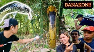 ANG PAGHAHANAP NG KING COBRA SA BRGY. TAGAKPAN! PART 1 #DavaoCity #Banakon #CobraTeam #Kamandag