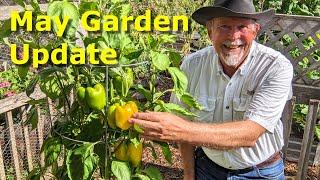 Texas Garden and Chick Update at Deep South Texas