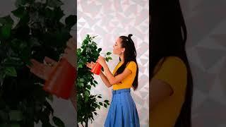 Безумные лайфхаки для обуви и ног, которые реально работают #SHORTS