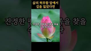 삶이 허무하다면? 부처님이 알려준 '지금 행복해지는 단 하나의 지혜'ㅣ부처님 말씀ㅣ불교명언ㅣ#부처님명언 #삶의지혜 #불교명언 #인생명언 #지혜로운삶