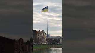 Чем отличается наивность от глупости?