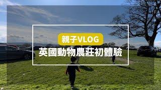 英國VLOG#1｜第一次去Sheffield的動物農莊&嘉年華免費入場｜近距離接觸草泥馬｜英國親子日常｜亂拍亂剪lol