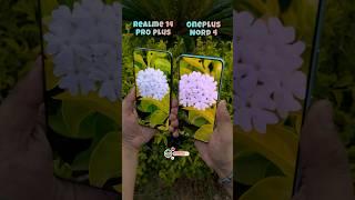 Realme 14 Pro Plus Vs Oneplus Nord 4 Camera Compare #shorts