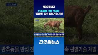 반추동물 만성 전염병 ‘요네병’ 신속 판별기술 개발