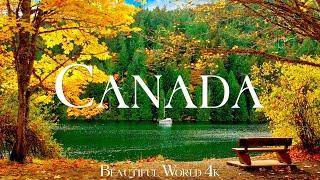 Canada 4K Autumn Relaxation Film - Peaceful Piano Music - Autumn Landscape