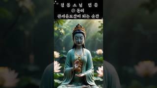  경봉스님법문 돈이 관세음보살이 되는 순간 #경봉스님 #말조심 #입으로짓는죄  #불교쇼츠   #자비로운말