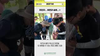 치인다... 자연과 숲에...