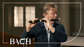 Bach - Flute sonata in E minor BWV 1034 - Root | Netherlands Bach Society