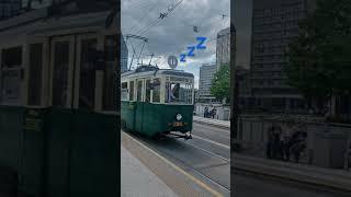 Śpiąca eNka #shorts #tram #tramvaj #tramwaj #tramwaje @michaljagusiak-transportpublic