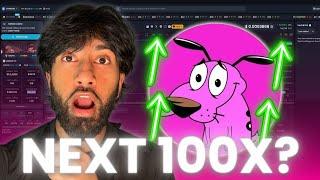 THE NEXT 100X MEME COIN? (DO NOT MISS!)