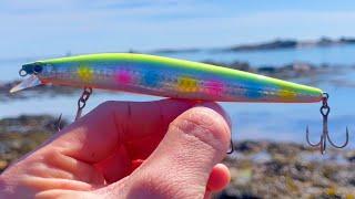 Lure FISHING in MUDDY water - Which LuRes STAND OUT? - Lure FISHING for Sea BASS