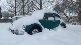 1967 VW Beetle First Start in 4-5 months.