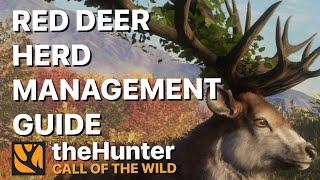 Ultimate Herd Management Guide for Red Deer Great One Grind on the Hunter Call of the Wild