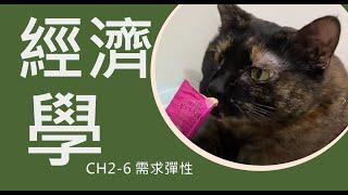 CH2 -6 需求的價格彈性